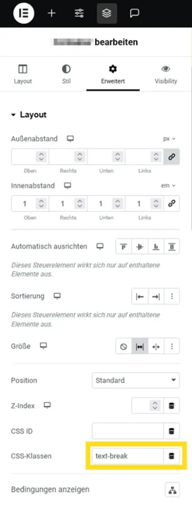 Screenshot, wo in Elementor Du die CSS Klasse einträgst, um das CSS Code Snippet anzusprechen.