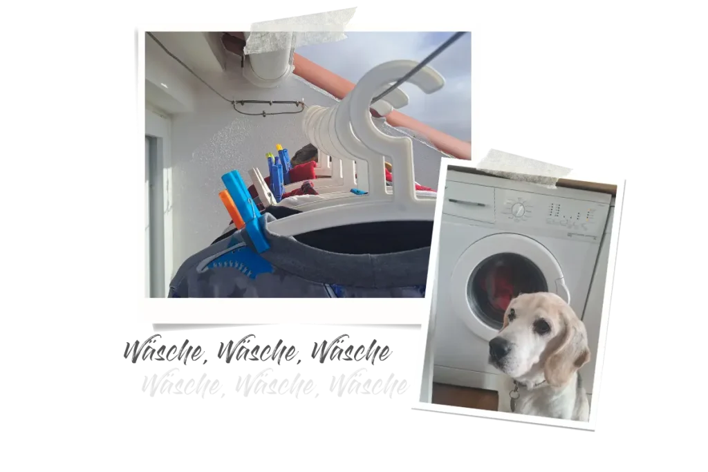 Zwei Polaroids, eins zeigt die Waschmaschine und meinen Beagle mit der frisch gewaschenen Wäsche, und das andere Kleiderbügel, die jeweils mit einer zusätzlichen Wäscheklammer fixiert sind.