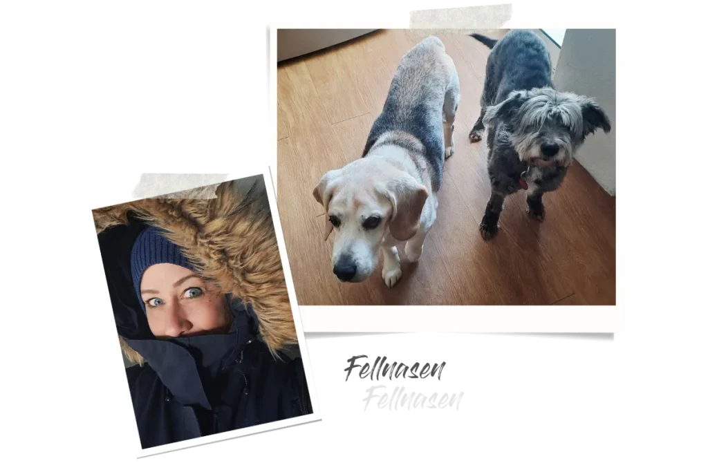 Zwei Polaroids, eins zeigt zwei Hunde und das andere Britta fest eingemummelt in ihre Kapuzenjacke mit Fellbesatz.
