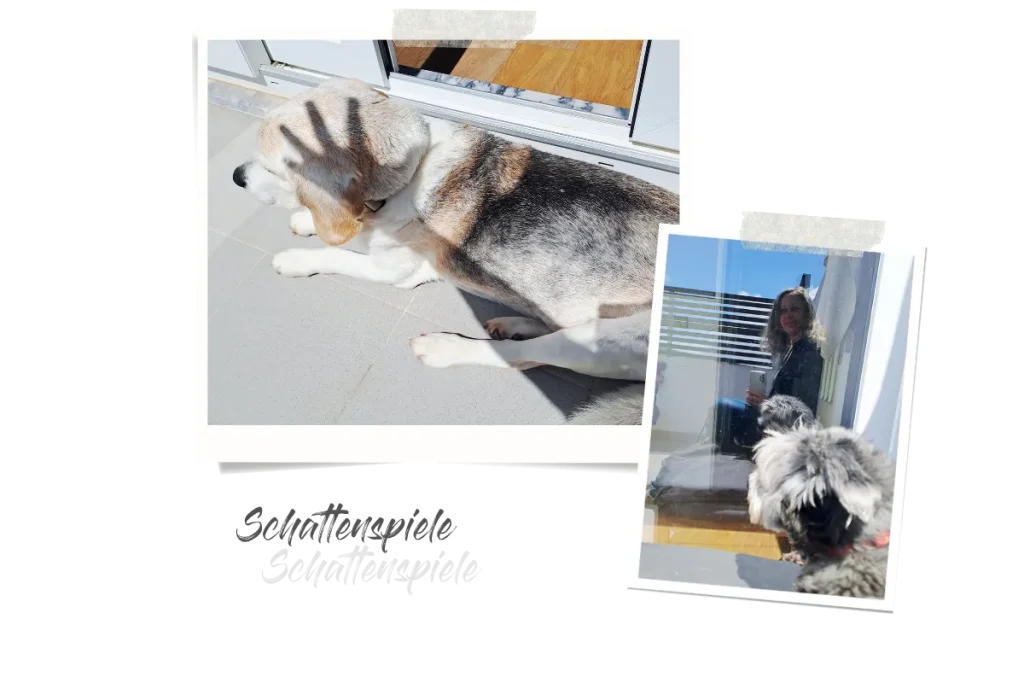 Zwei Polaroids, eins zeigt einen Beagle, auf den der Schatten eines ausgestreckten Arms fällt, und das andere Britta, wie sie von sich und ihrer Hündin ein Foto in der Reflektion einer Fensterscheibe macht.