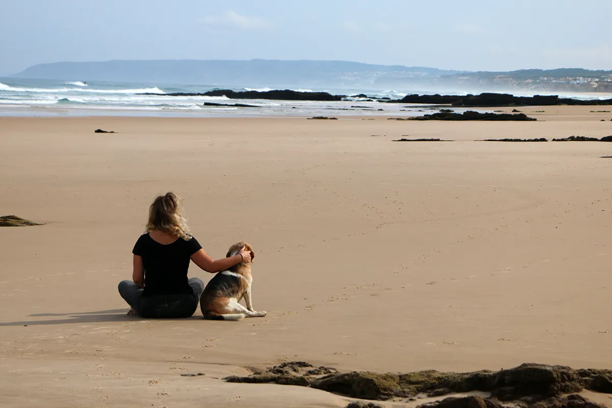 Britta und Oddie sitzen mit dem Rücken zur Kamera am leeren Strand und schauen aufs Meer.