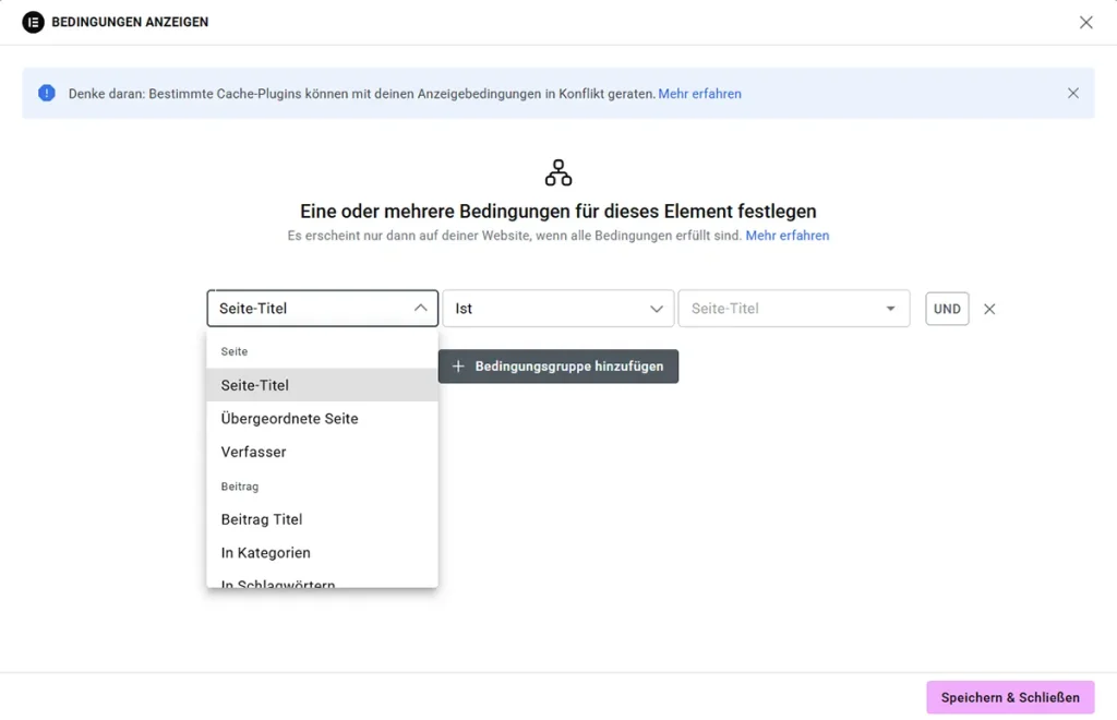 Optionen der möglichen dynamischen Bedingungen in Elementor.