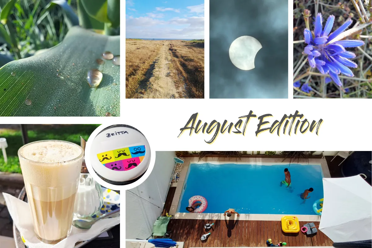 Fotocollage meines #12von12 – August Edition am 12. August 2026 in 12 Bildern.