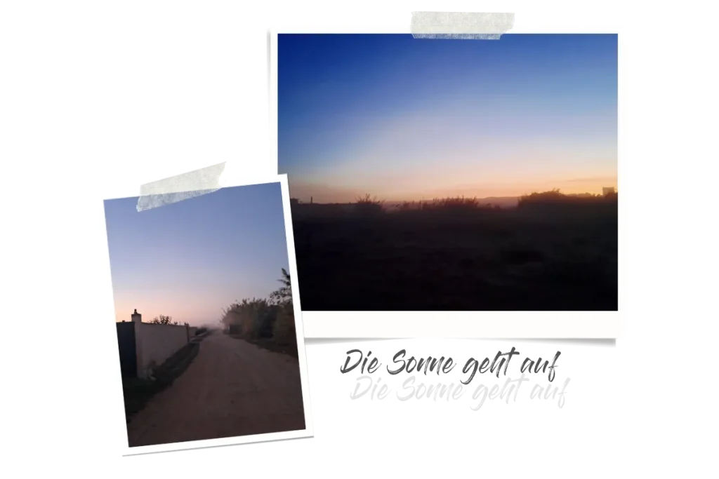 Zwei Polaroids, eins zeigt Nebel in der Morgendämmerung, das andere einen Feldweg am frühen Morgen.