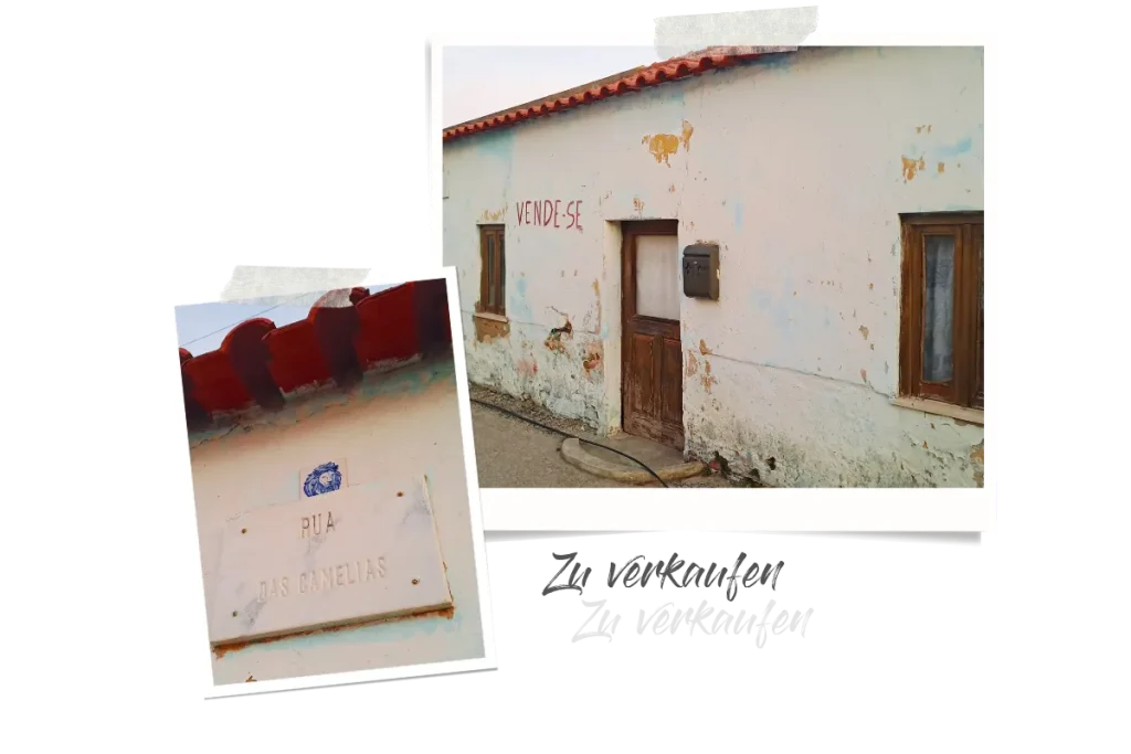 Zwei Polaroids, eins zeigt ein altes, zu Verkauf stehendes Haus, das andere ein Straßenschild "Rua das Camelias".